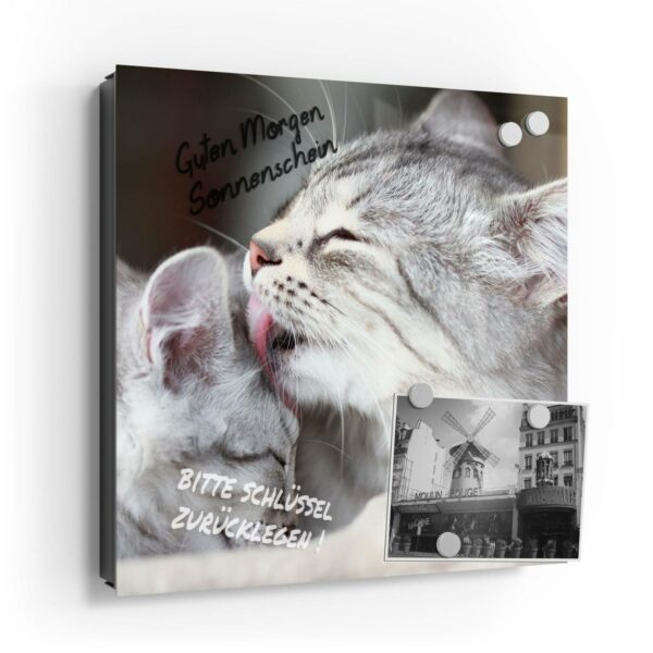 Key Box - Cats Grooming Each Other - Image 2