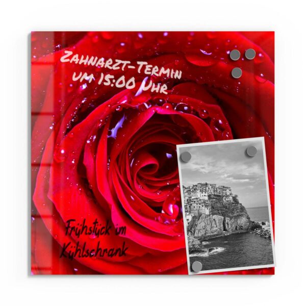 Magnettafel - Rose mit Wasserperlen – Bild 2