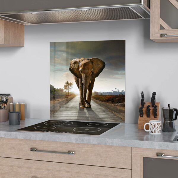Splashback - Elephant On Tarmac - Image 2