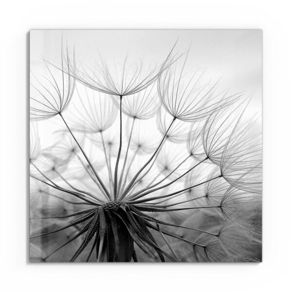 Wandbild - Pusteblume Nahaufnahme – Bild 2