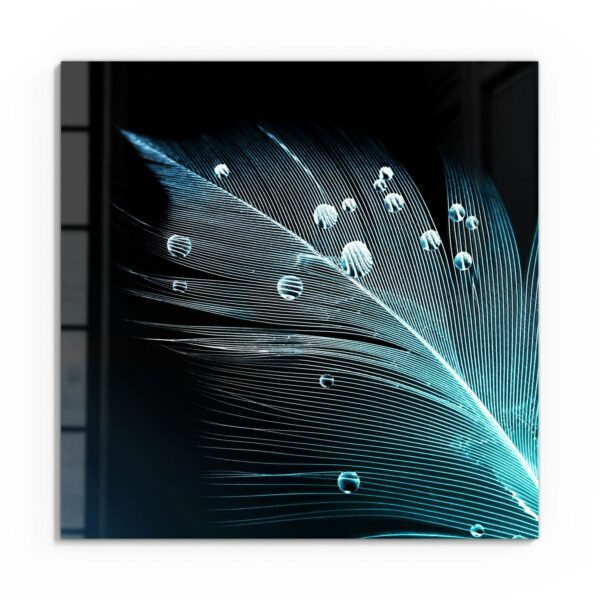 Wandbild - Feder mit Wasserperlen – Bild 2