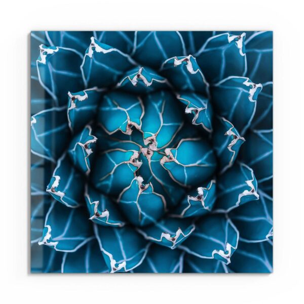 Wandbild - Detailansicht einer Agave – Bild 2