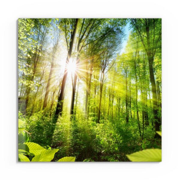 Wandbild - Licht durchdringt Bäume – Bild 2