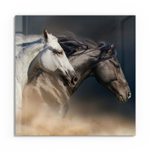 Wandbild - Pferde-Trio im Galopp – Bild 2