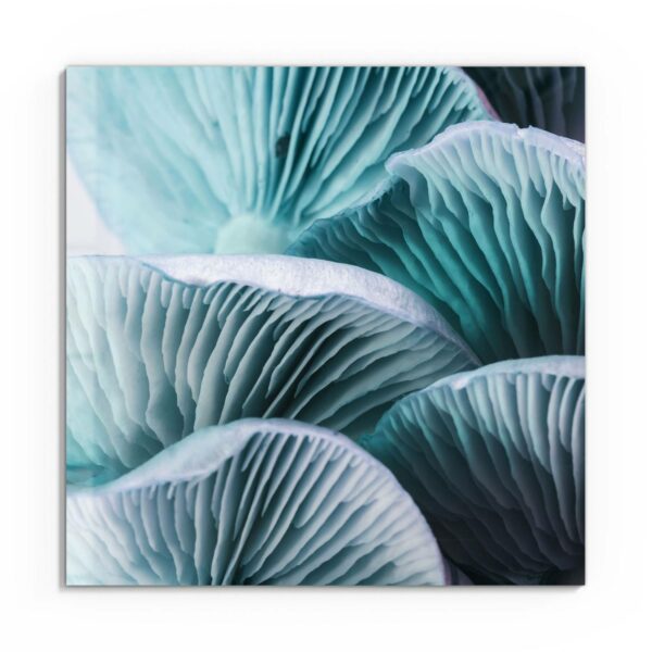 Wandbild - Leuchtende Pilzlamellen – Bild 2
