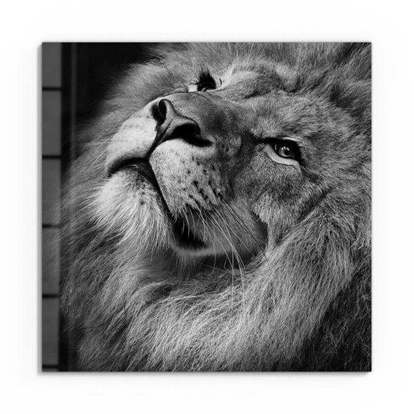Wandbild - Der König der Tiere – Bild 2