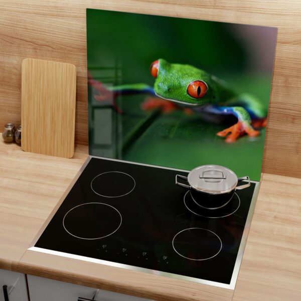 Hob Cover - Red-Eyed Tree Frog - Image 3