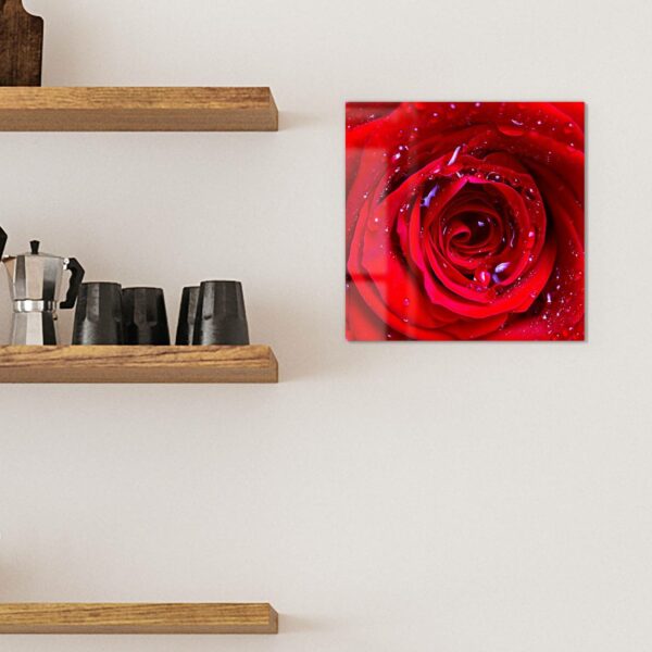 Magnettafel - Rose mit Wasserperlen – Bild 3
