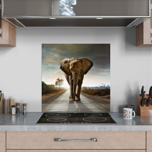 Splashback - Elephant On Tarmac - Image 3