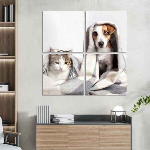 Wandbilder - Katze und Hund zugedeckt – Bild 3