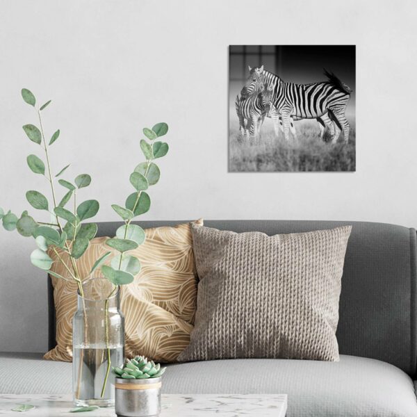 Wandbild - Zebras beieinanderstehend – Bild 3