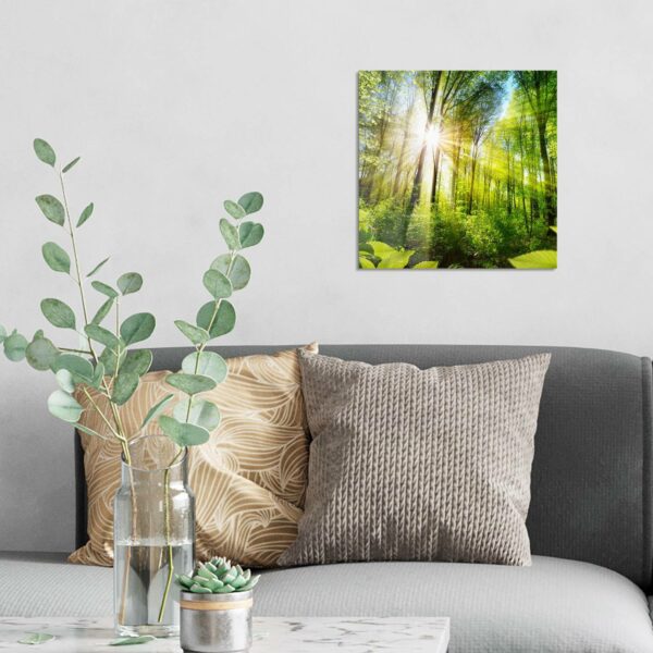 Wandbild - Licht durchdringt Bäume – Bild 3