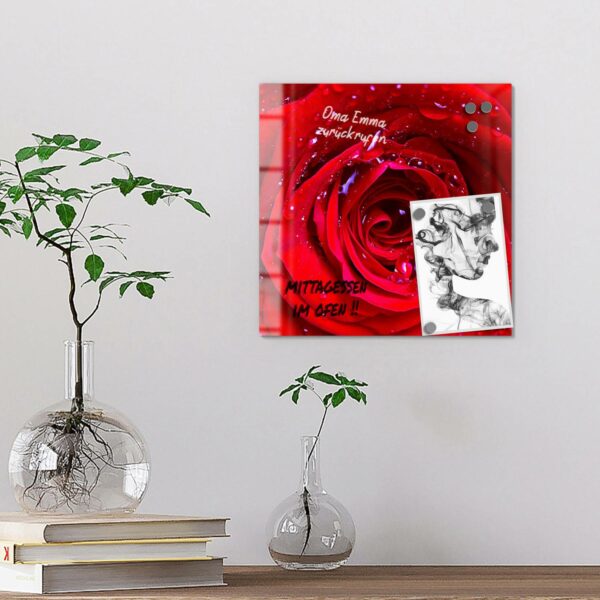 Magnettafel - Rose mit Wasserperlen – Bild 4