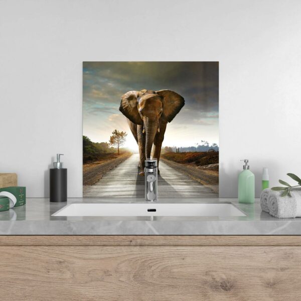 Splashback - Elephant On Tarmac - Image 4
