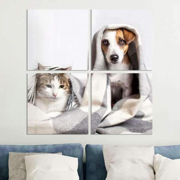 Wandbilder - Katze und Hund zugedeckt – Bild 4