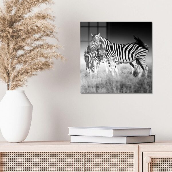 Wandbild - Zebras beieinanderstehend – Bild 4