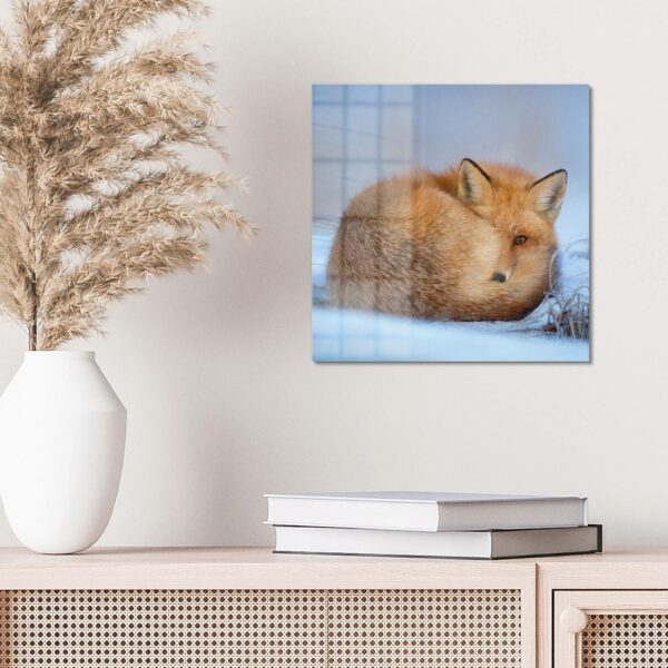 Wall Art - Shy Fox in the Snow - Image 4