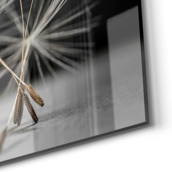 Magnettafel - Samen der Pusteblume – Bild 5
