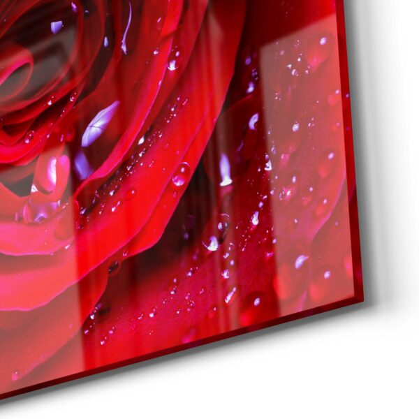 Magnettafel - Rose mit Wasserperlen – Bild 5