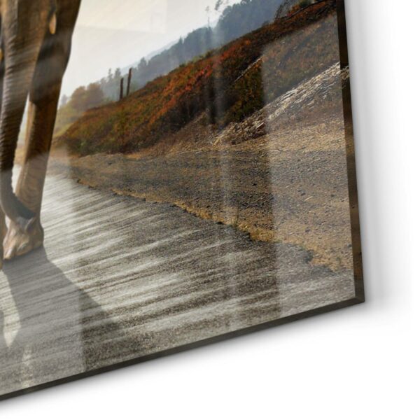 Splashback - Elephant On Tarmac - Image 5