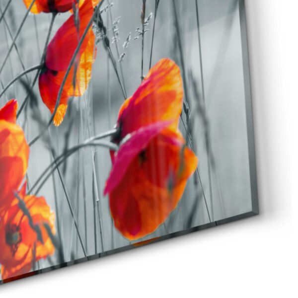 Rückwand - Rote Mohnblumen – Bild 5