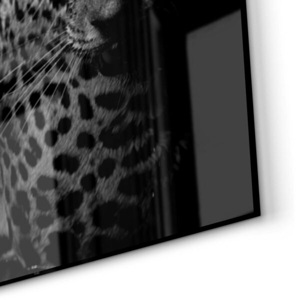 Rückwand - Leopard mit blauen Augen – Bild 5