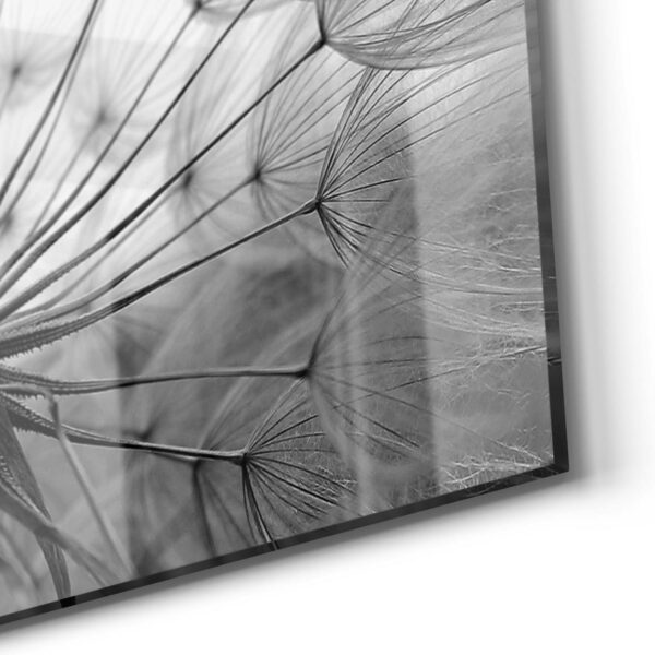 Wandbild - Pusteblume Nahaufnahme – Bild 5