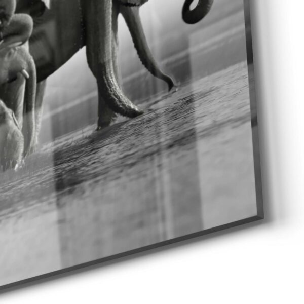 Wandbild - Elefantenherde am Wasser – Bild 5