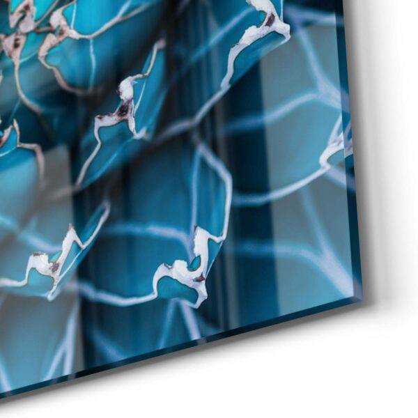 Wandbild - Detailansicht einer Agave – Bild 5