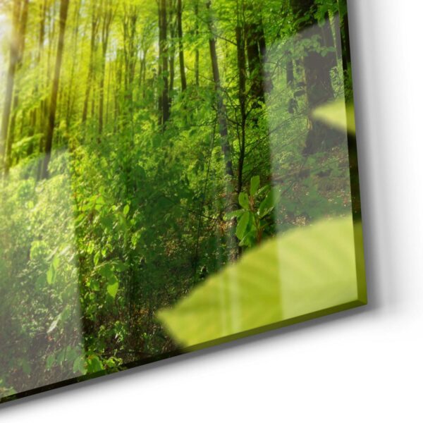 Wandbild - Licht durchdringt Bäume – Bild 5