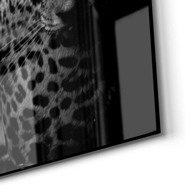 Wandbild - Leopard mit blauen Augen – Bild 5
