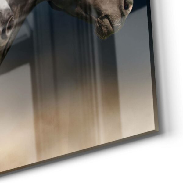 Wandbild - Pferde-Trio im Galopp – Bild 5