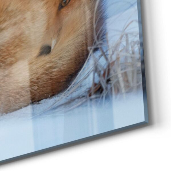 Wall Art - Shy Fox in the Snow - Image 5