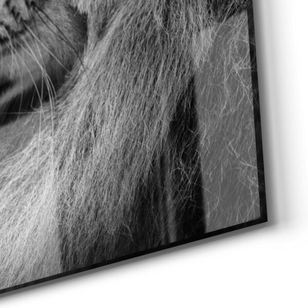 Wandbild - Der König der Tiere – Bild 5