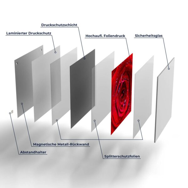 Magnettafel - Rose mit Wasserperlen – Bild 7