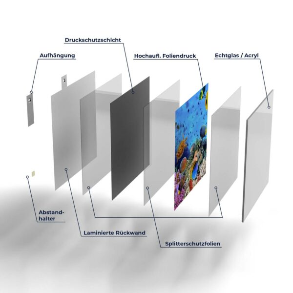 Wandbild - Lebensraum Korallenriff – Bild 7