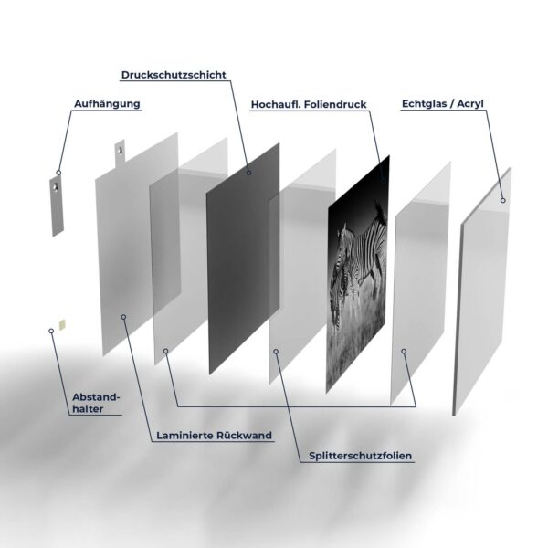 Wandbild - Zebras beieinanderstehend – Bild 7