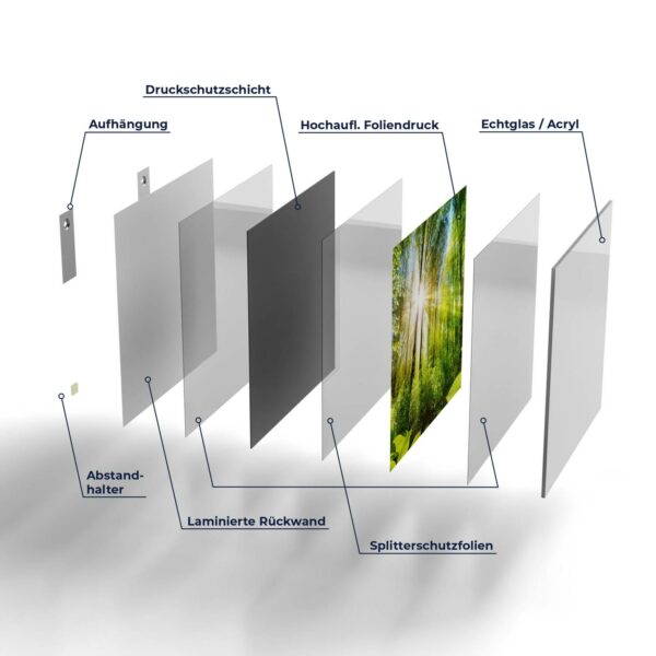 Wandbild - Licht durchdringt Bäume – Bild 7